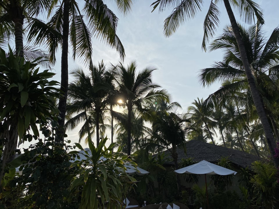 Gartenanlage Bayview - the beach resort