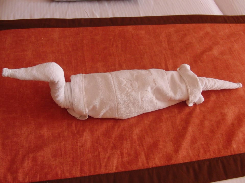 Tolle Kunst Hotel Riu Touareg