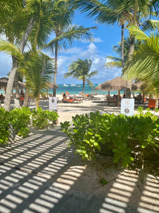 Ausblick Lopesan Costa Bávaro Resort, Spa & Casino