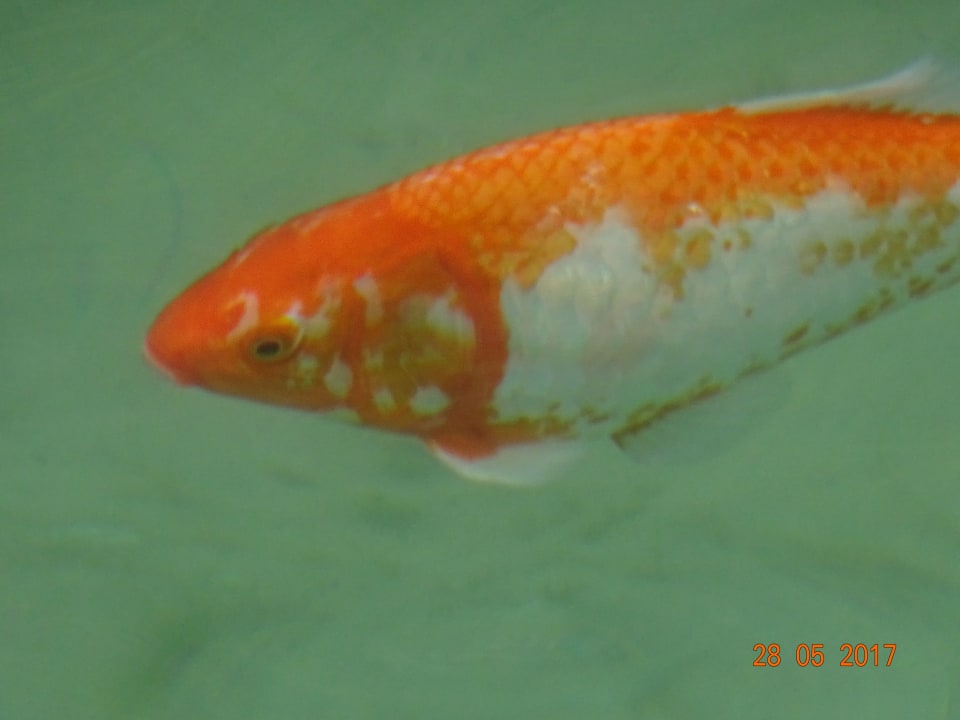 Strand Hotel Corissia Princess