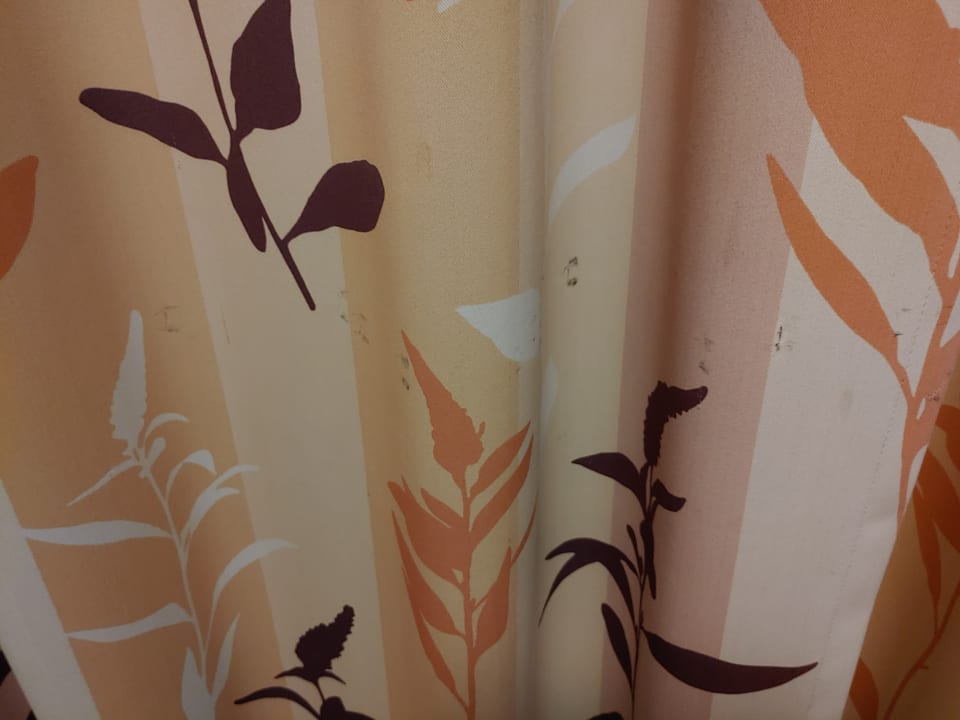 Zimmer Moselstern Hotel Brixiade & Triton