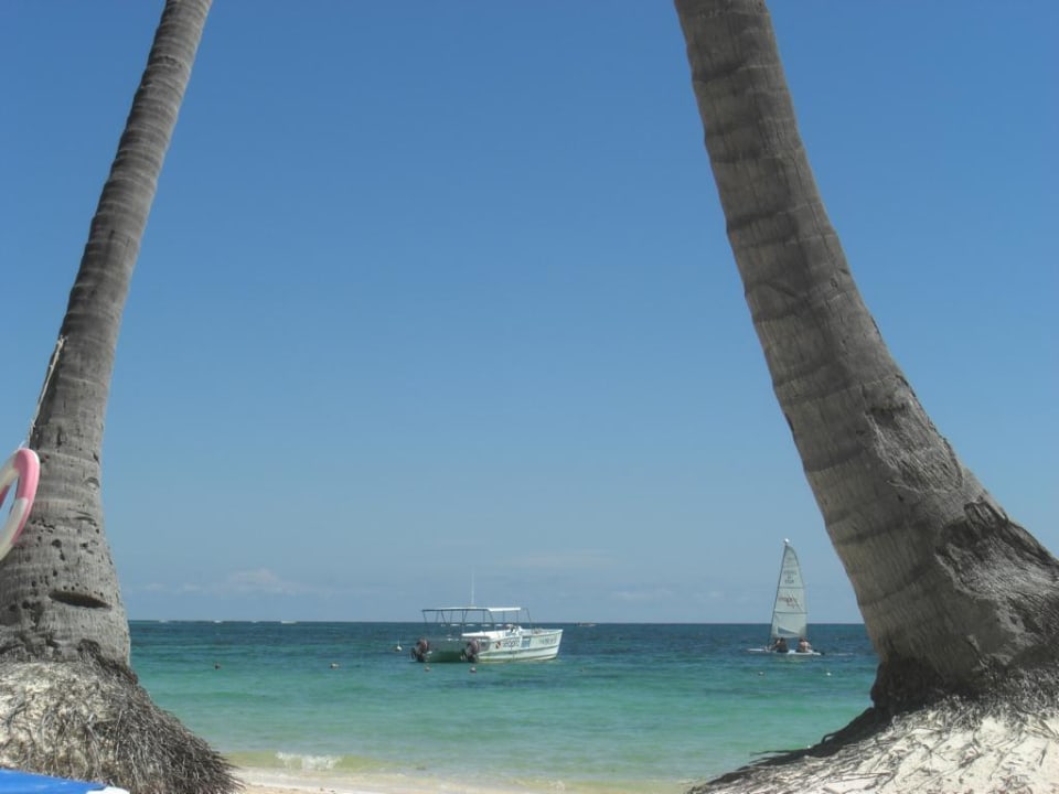 Meerblick von der Liege  Jewel Palm Beach