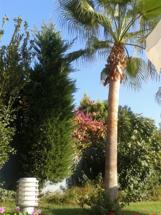 Gartenanlage Solivia Hotel