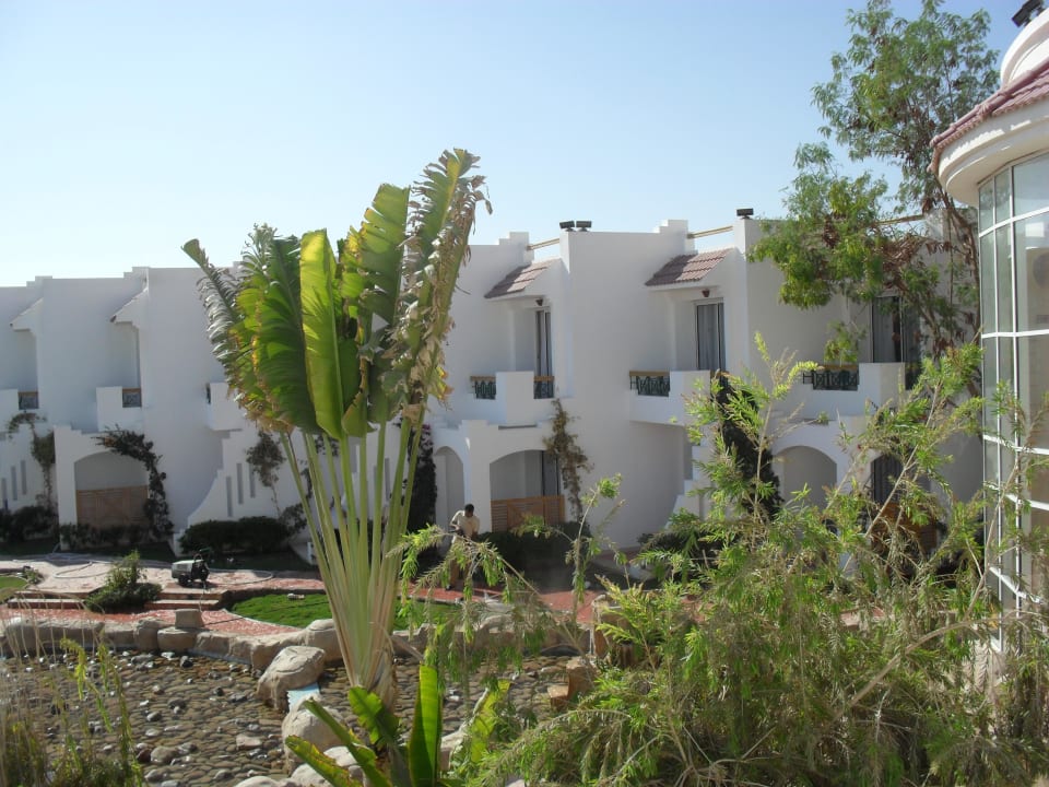 Wygląd zewnętrzny Ivy Cyrene Sharm Resort Adults Friendly Plus 13