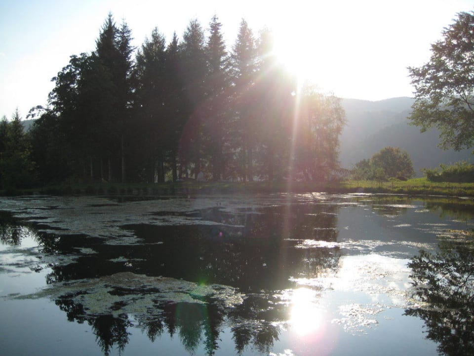 Der schöne Teich Parkhotel Holzerhof