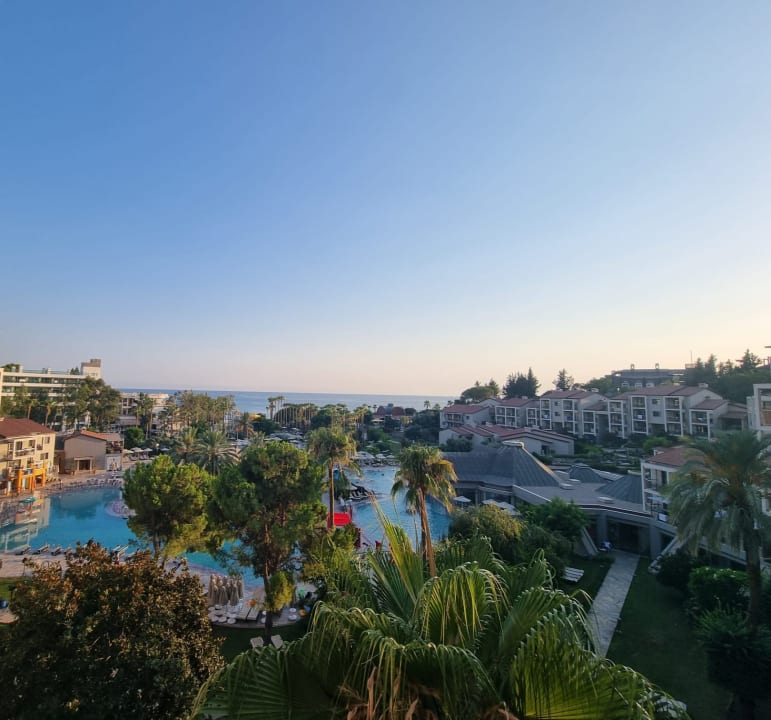 Ausblick Arum Barut Collection