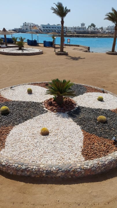 Sonstiges Arabia Azur Resort
