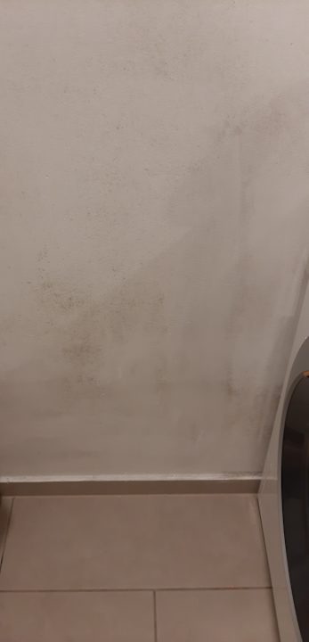 Sonstiges Glück am See - Apartment mit Seezugang