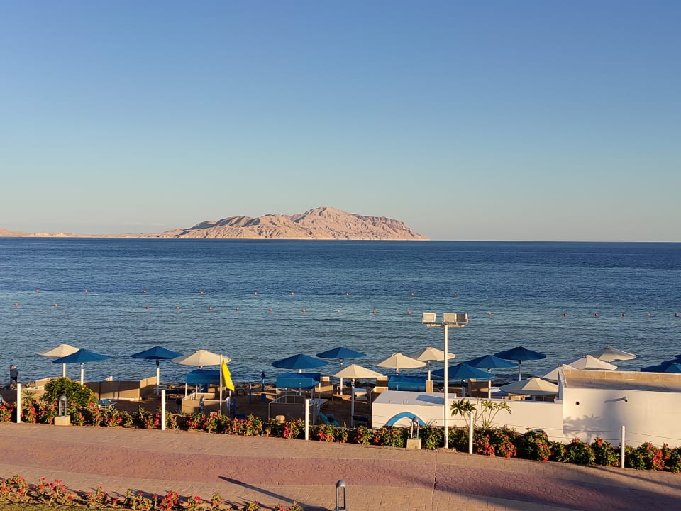 Ausblick Pickalbatros Palace Resort