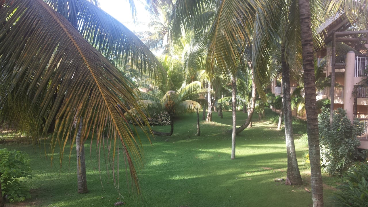 Garten Victoria Beachcomber Resort & Spa