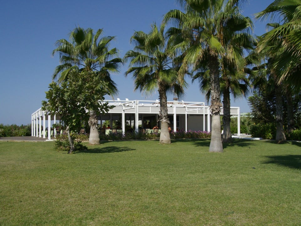 Strandbar VONRESORT Golden Coast