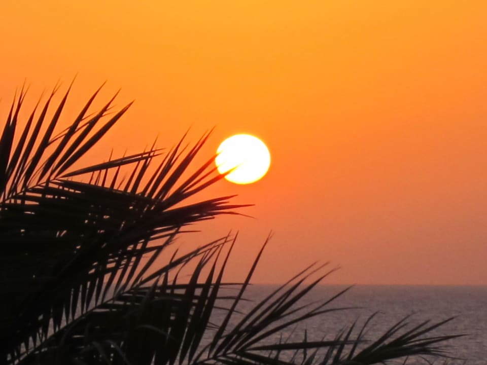 Wunderschön Steigenberger Coraya Beach - Adults only