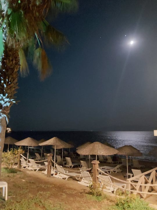 Strand Latanya Park Resort