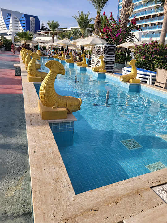 Pool Granada Luxury Okurcalar