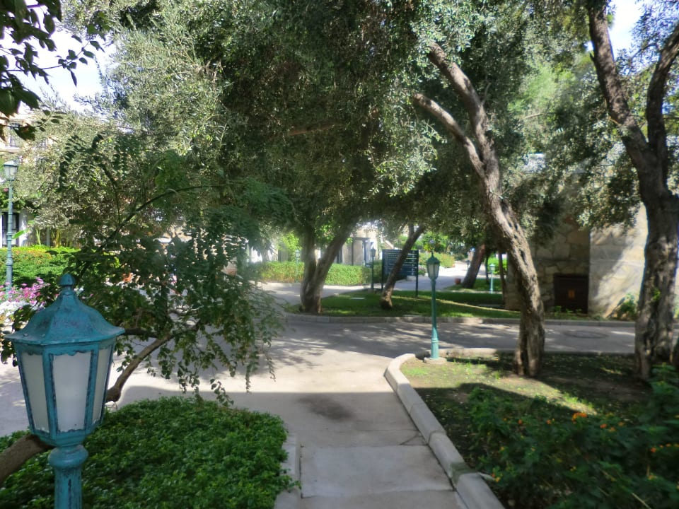 Pure Natur Bodrum Park Resort