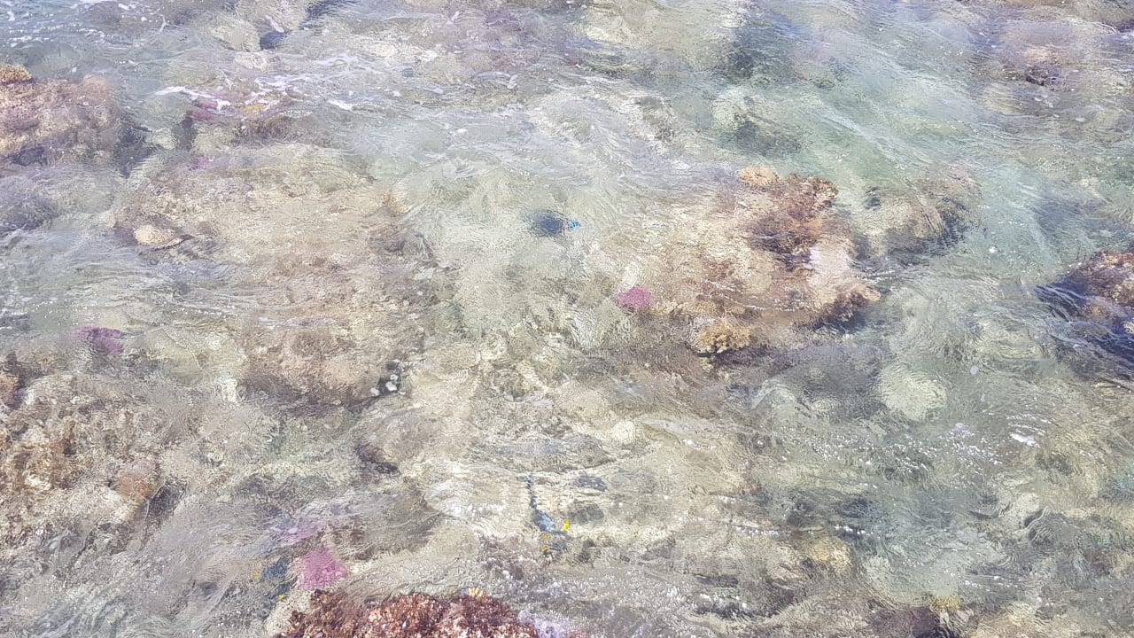 Strand Casa Mare Resort