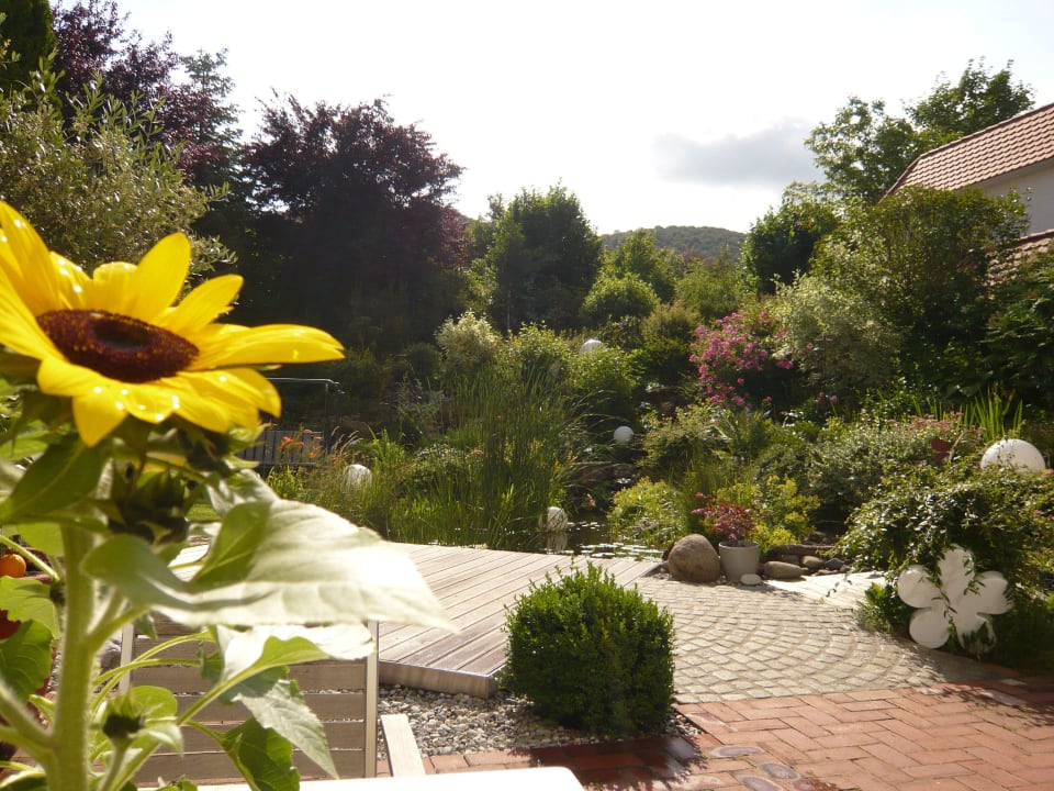 Der Garten Hotel Scholz