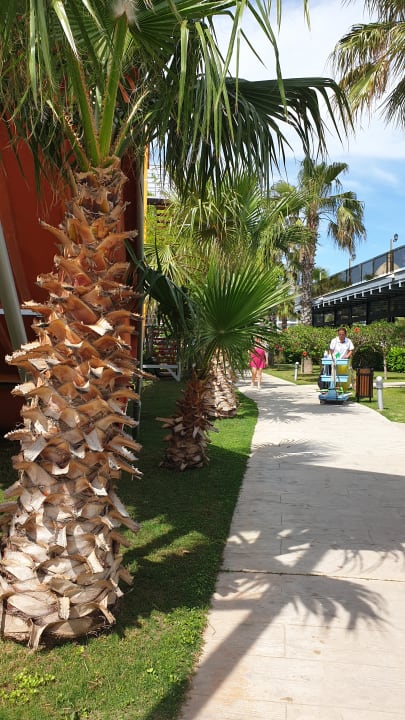 Gartenanlage Saturn Palace Resort Hotel