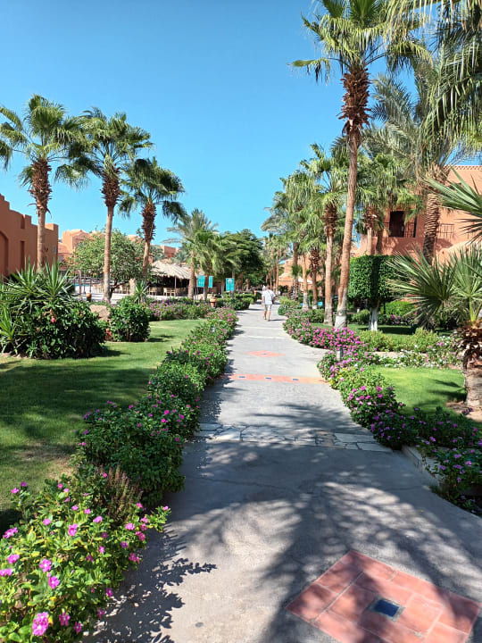 Gartenanlage Jaz Makadi Oasis Resort