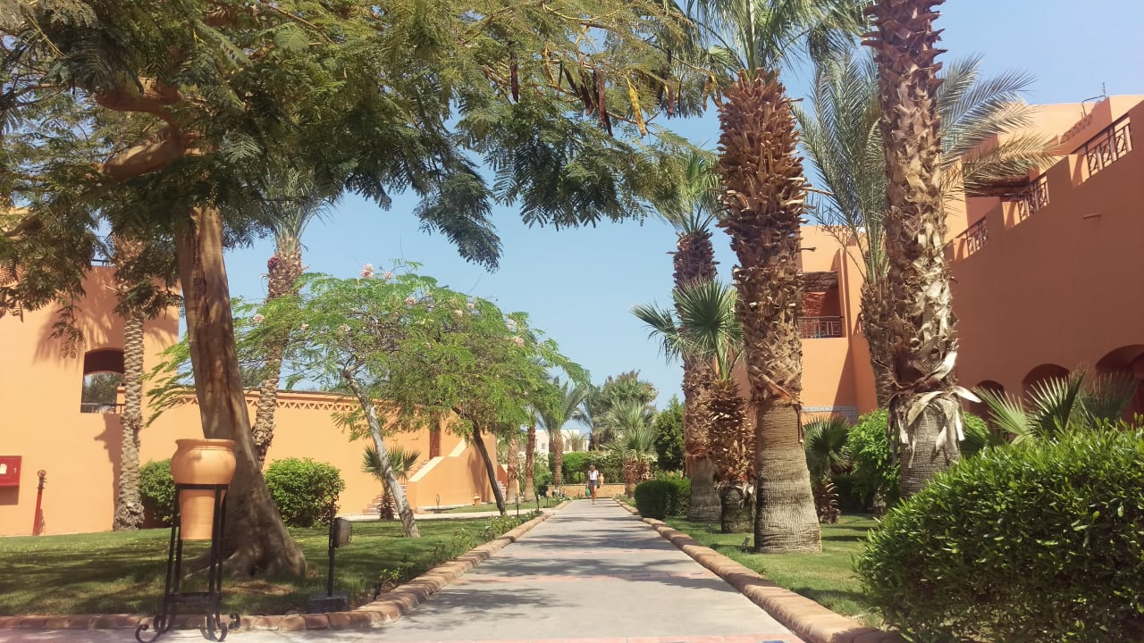 Gartenanlage Jaz Makadi Oasis Resort