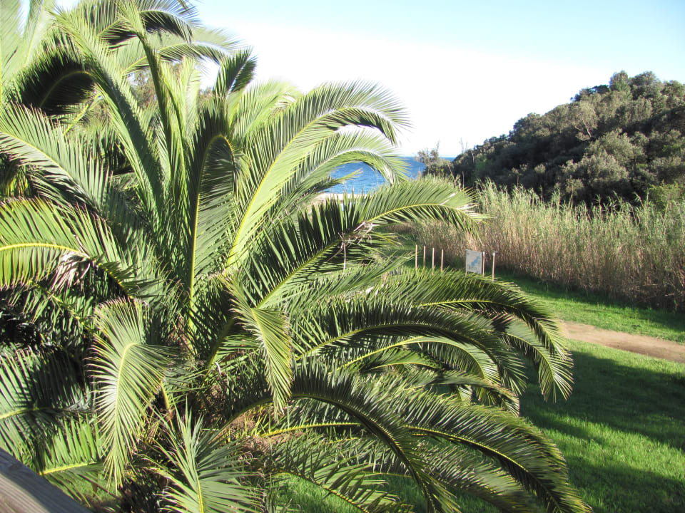 Blick vom 1.Stock Bed & Breakfast Clos des 7 Palmiers