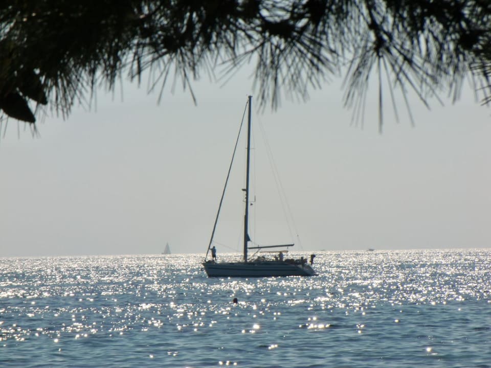 Liegestuhlaussicht Hotel Aurora Plava Laguna
