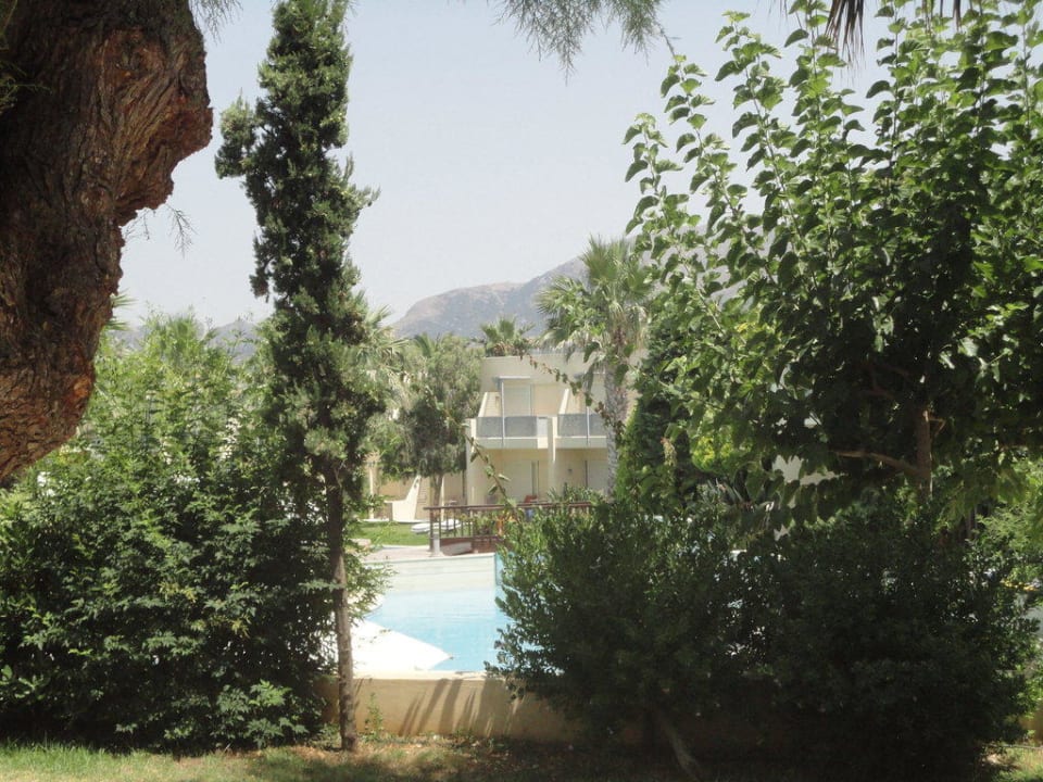 Ogród allsun Hotel Malia Beach