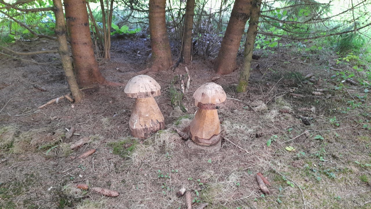 Außenansicht Pension Schatzkisterl