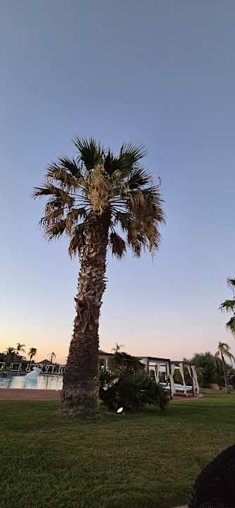 Pool Hotel Garden Beach Cala Sinzias