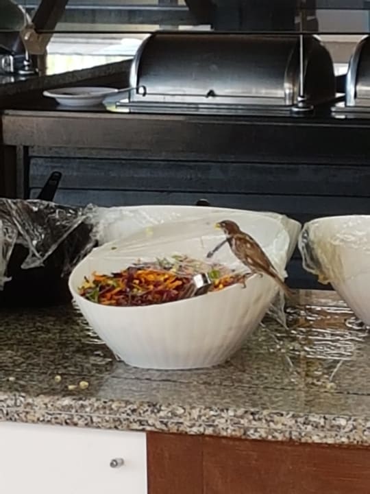 Gastro Hane Family Resort