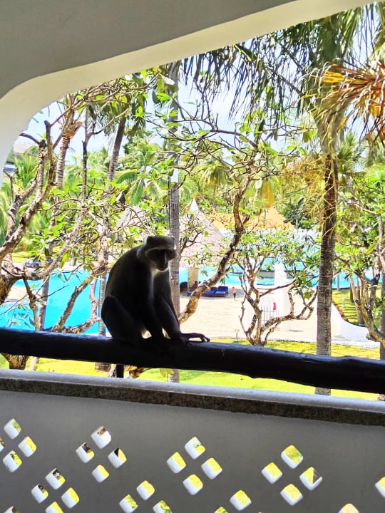 Sonstiges Hotel Southern Palms Beach Resort