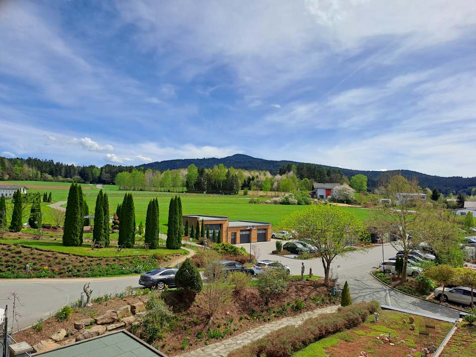 Ausblick Spirit & SPA Hotel Birkenhof am Elfenhain