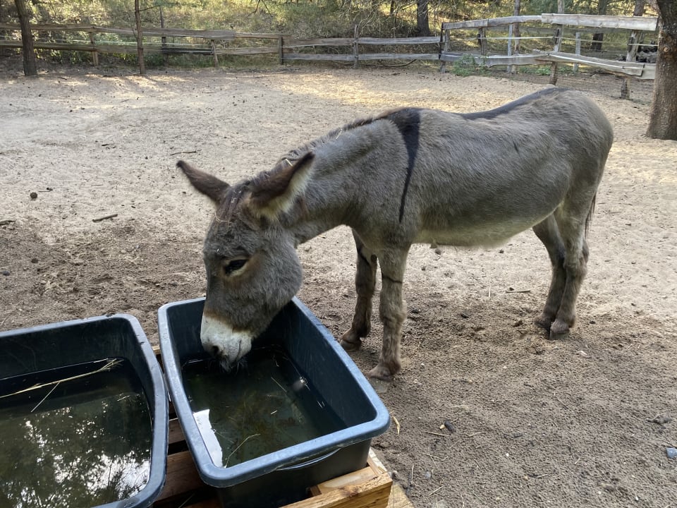 Sonstiges Familotel Borchard's Rookhus am See
