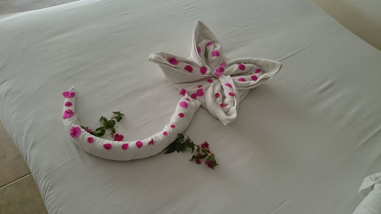 Unser Zimmerservice überraschte uns täglich Panorama Bungalows Resort El Gouna