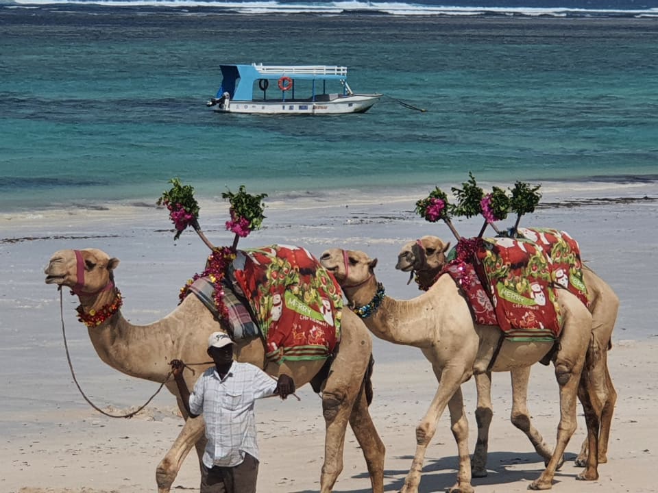 Sonstiges Hotel Southern Palms Beach Resort