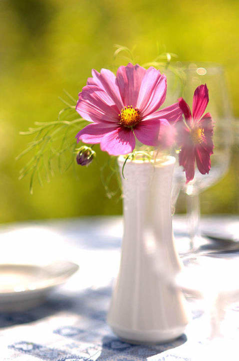 Einfach schön Gasthof Hüttwirt