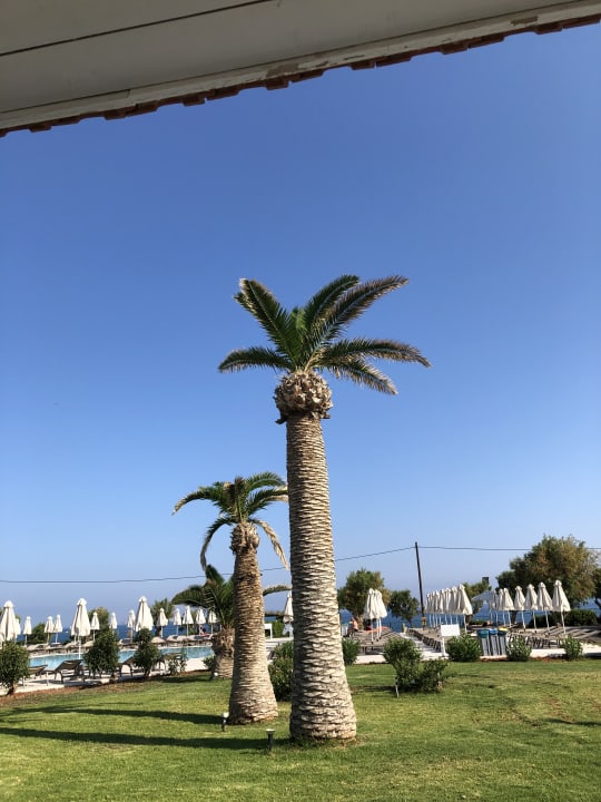 Gartenanlage allsun Hotel Zorbas Village