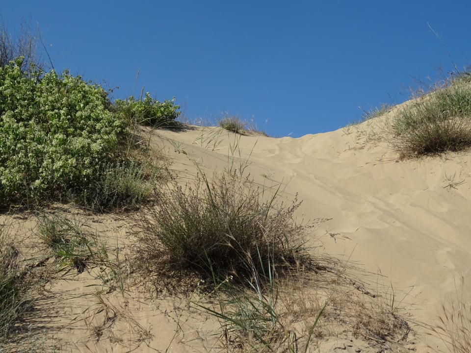 Strand Hotel&SPA Diamant Residence