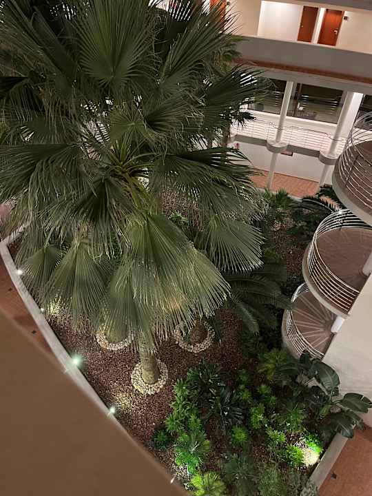 Zimmer allsun App.-Hotel Orient Beach