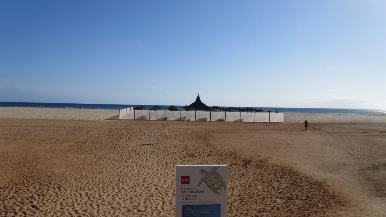 Liegen im Adults-Bereich Hotel Riu Touareg