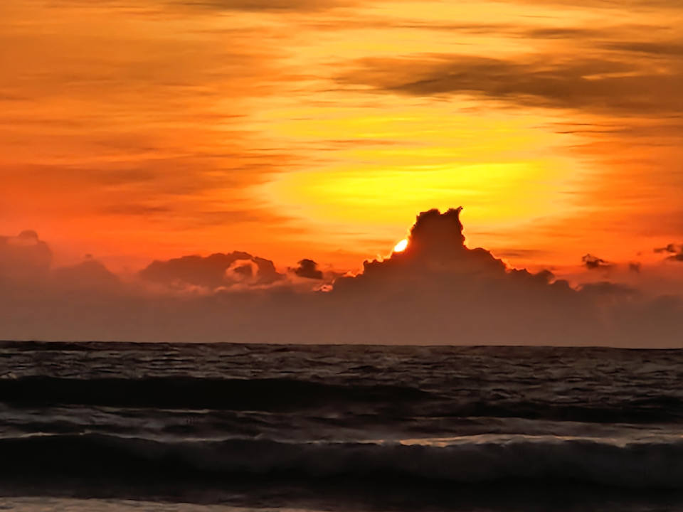 Strand Thaala Bentota
