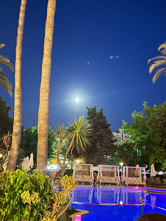 Pool Valentin Reina Paguera