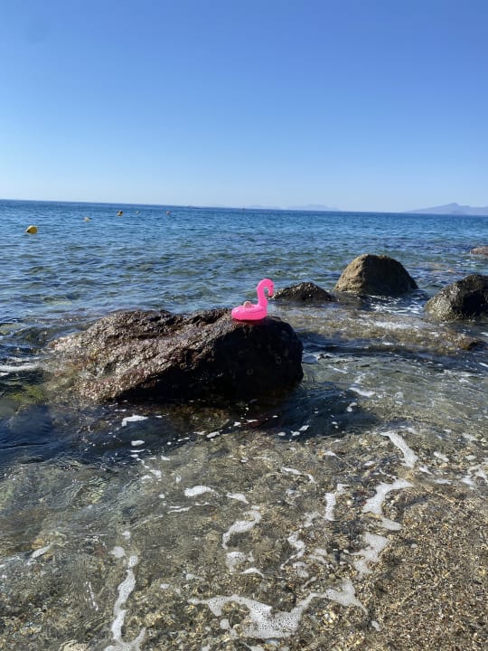 Strand Akti Palace Resort & Spa