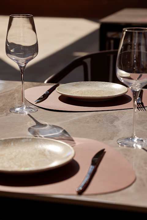 Gastro ananea Rocrita