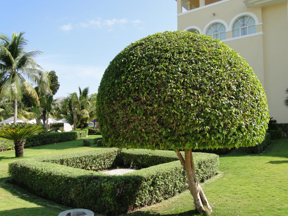 Wie gemalt so sauber Hotel Riu Palace Mexico
