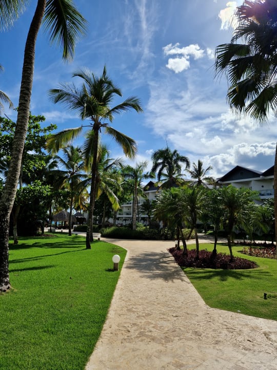 Gartenanlage Dreams La Romana Resort & Spa