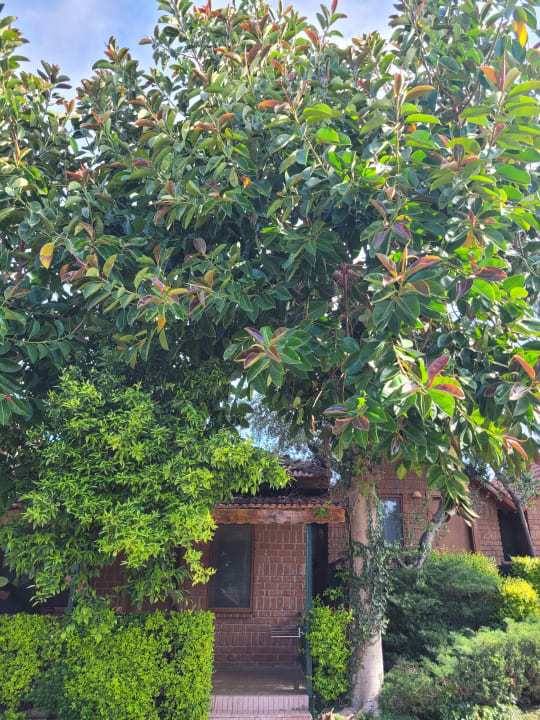 Gartenanlage Can Garden Beach