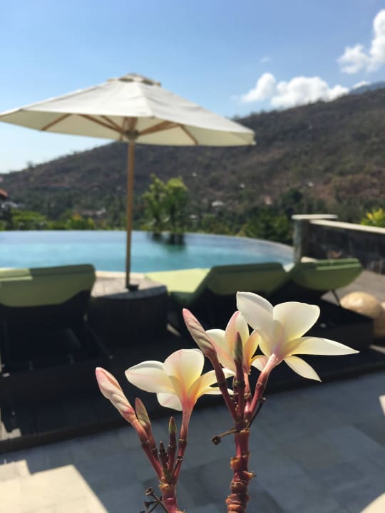Blick auf den öffentlichen Pool von Restaurant aus Villas & Spa The Griya