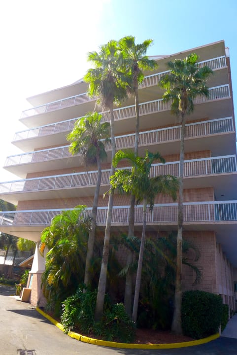 Gebäude umschlossen von Palmen Motel 6 Cutler Bay