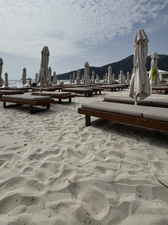 Strand Alexandra Golden Boutique - Adults only